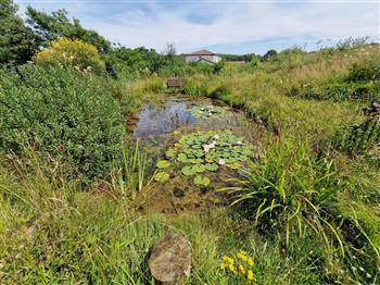 Ecological gardening